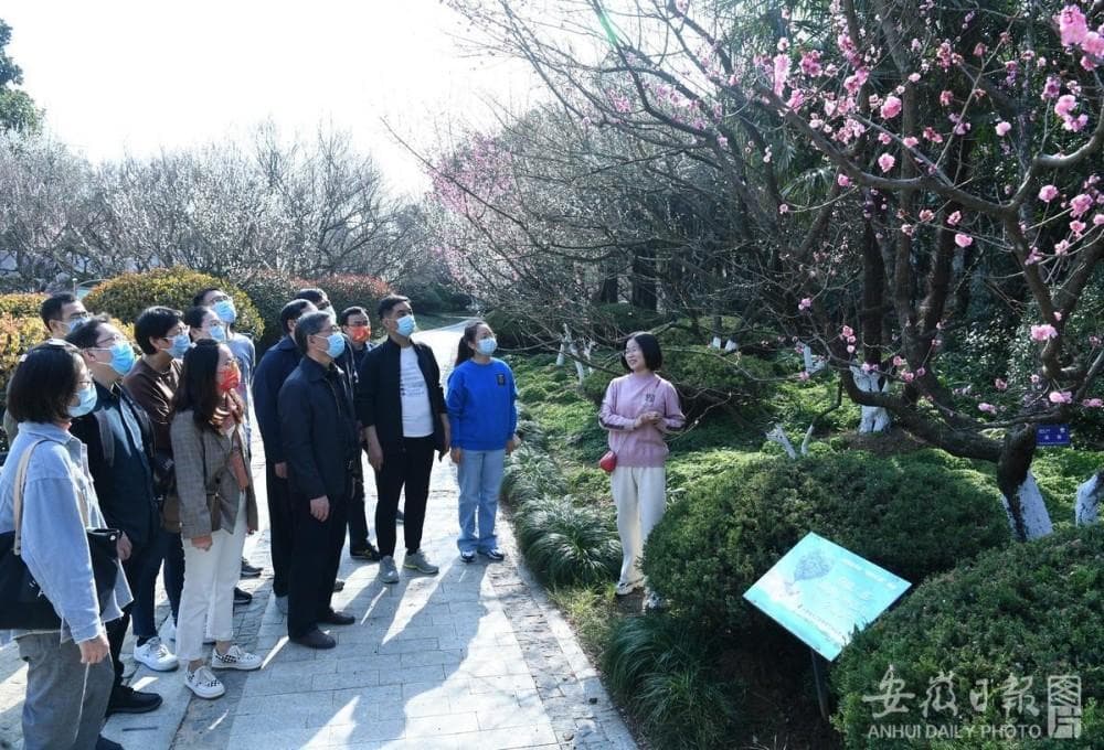 南宫国际(中国区)官方网站